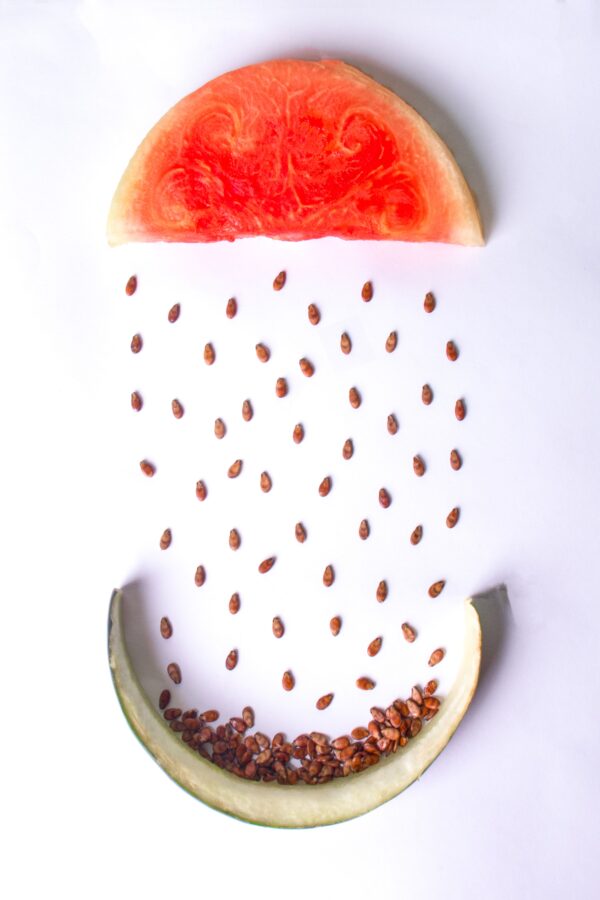 Creative food concept with peeled watermelon slice and seeds falling down like raindrops into a rind