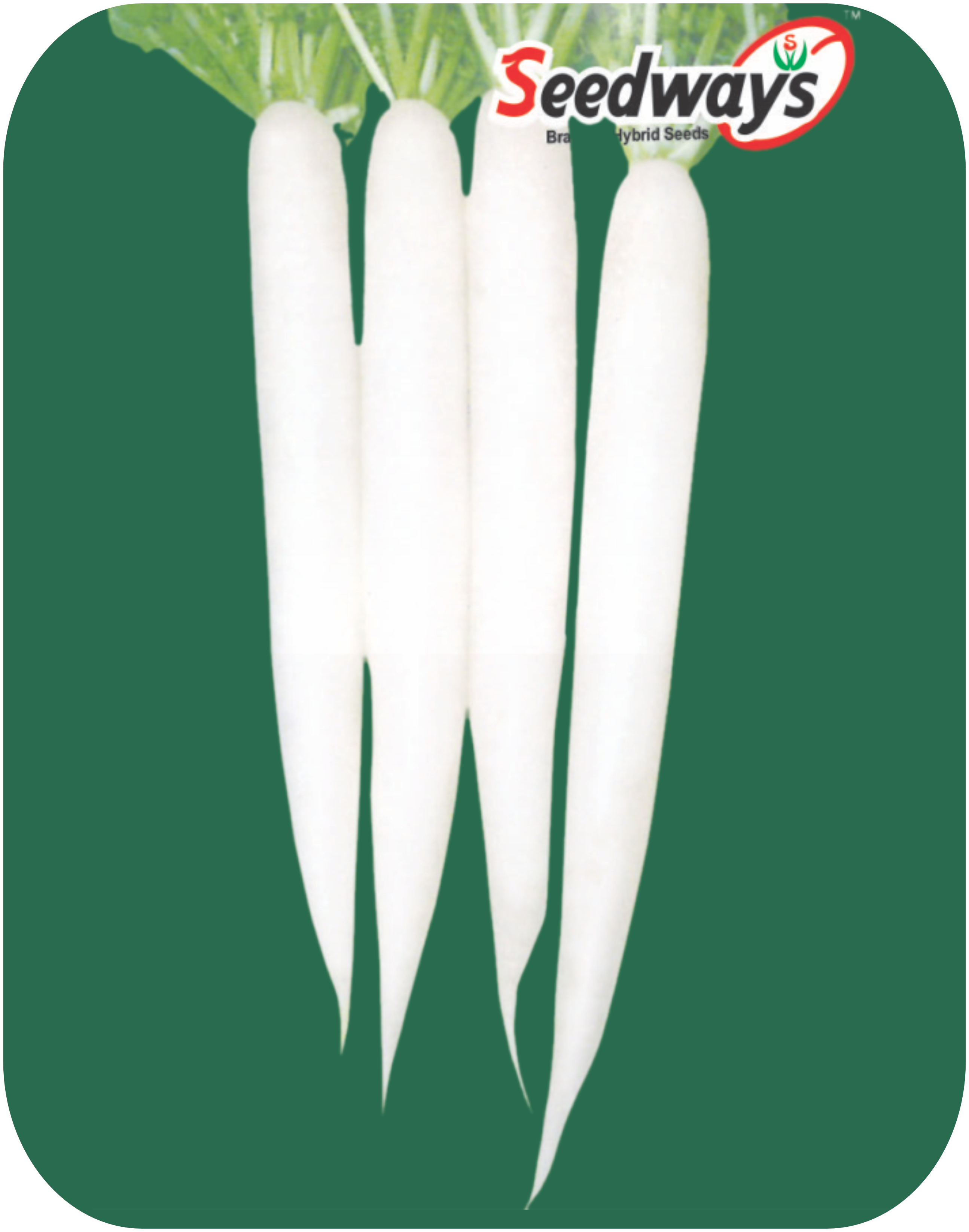 radish