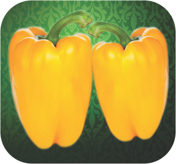 CAPSICUM