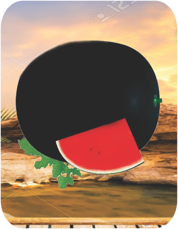 watermelon