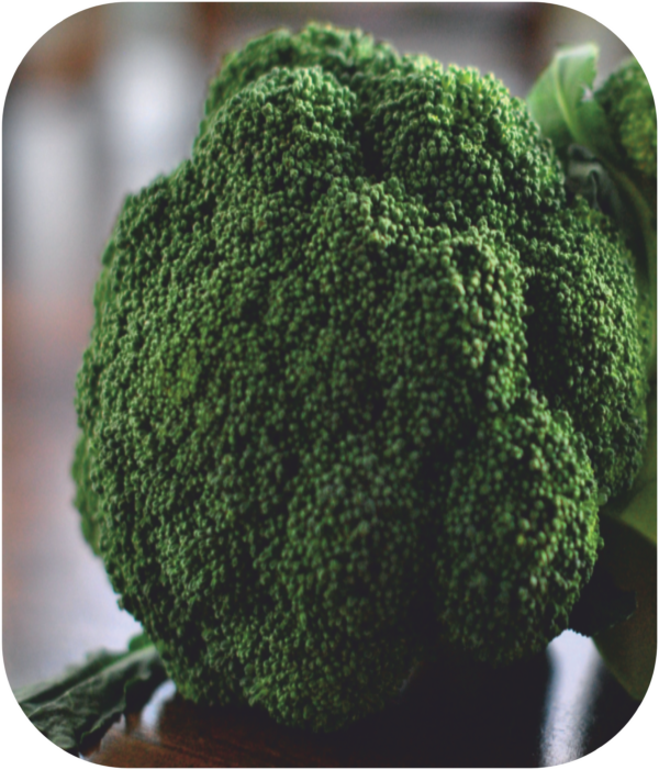 BROCCOLI