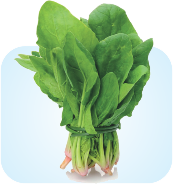 SPINACH