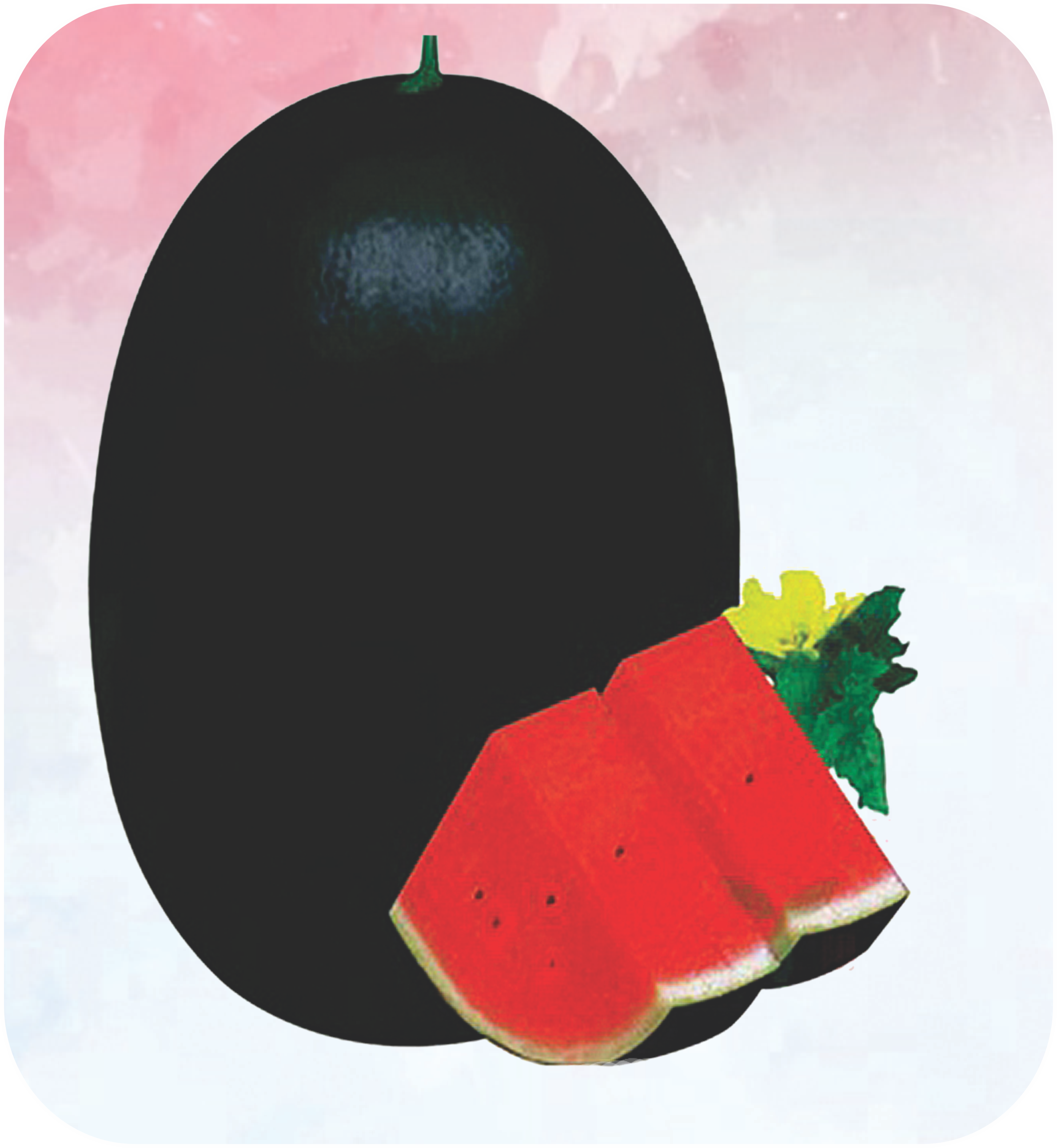 watermelon