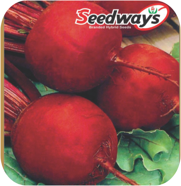 beetroot