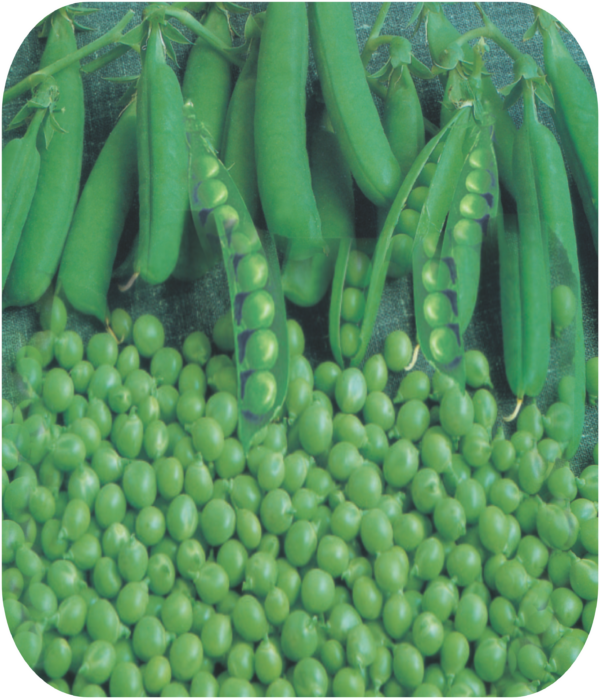 PEAS