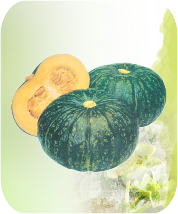 PUMPKIN